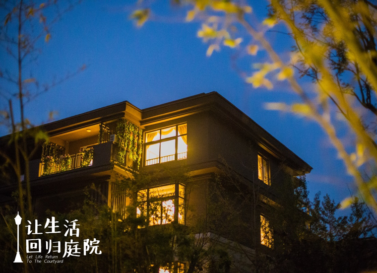 前后张望南阳50年：这样的庭院，，，，，很难再有了！