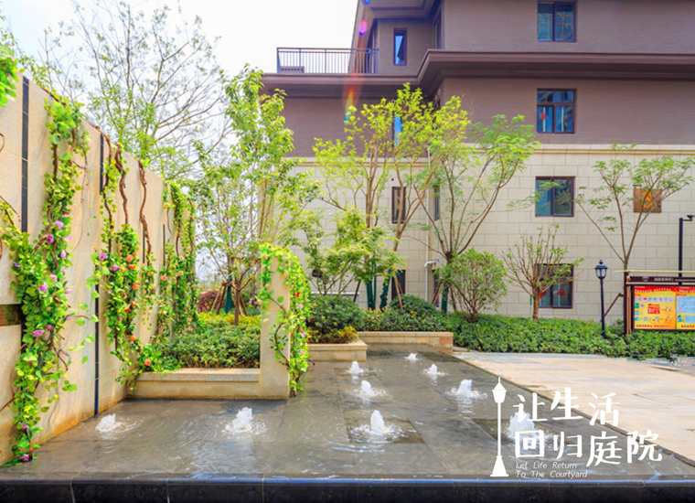 前后张望南阳50年：这样的庭院，，，，，很难再有了！