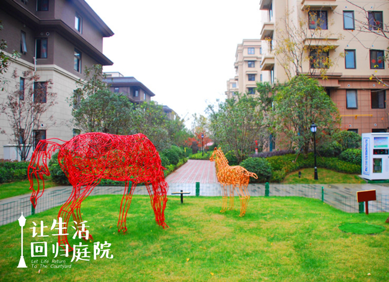 前后张望南阳50年：这样的庭院，，，，，很难再有了！