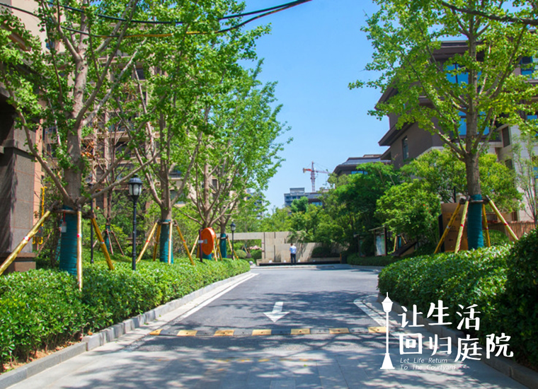 前后张望南阳50年：这样的庭院，，，，，很难再有了！