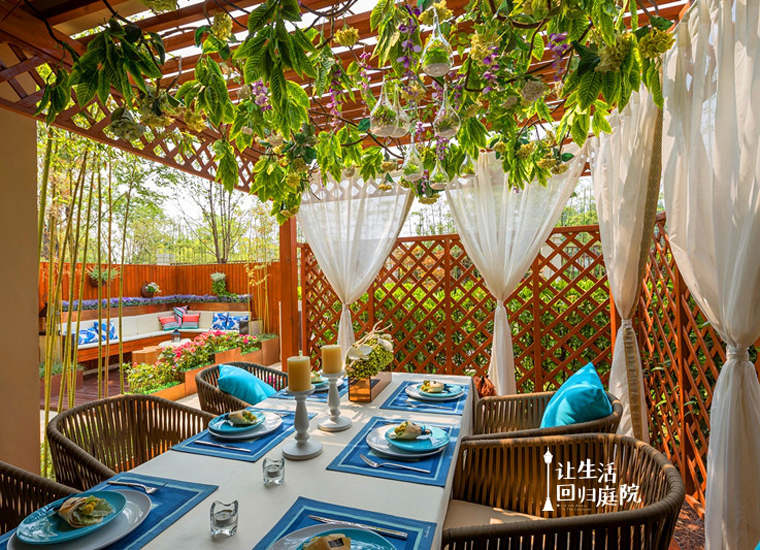 前后张望南阳50年：这样的庭院，，，，，很难再有了！