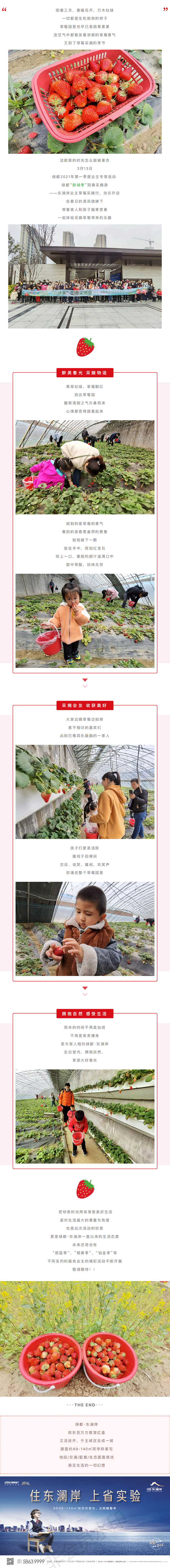 草莓采摘行|“莓”好偕行，，，，不负春日好时光