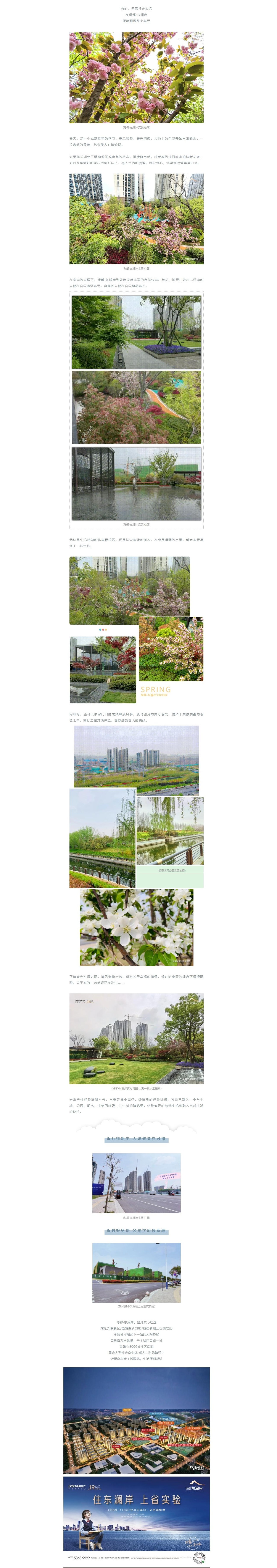 赏花踏青，，，，，来一场和春天的约会