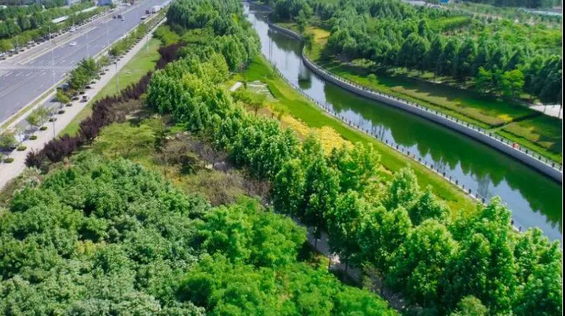 定了！“神兽”线上开学，，，，家里有学生的必看！