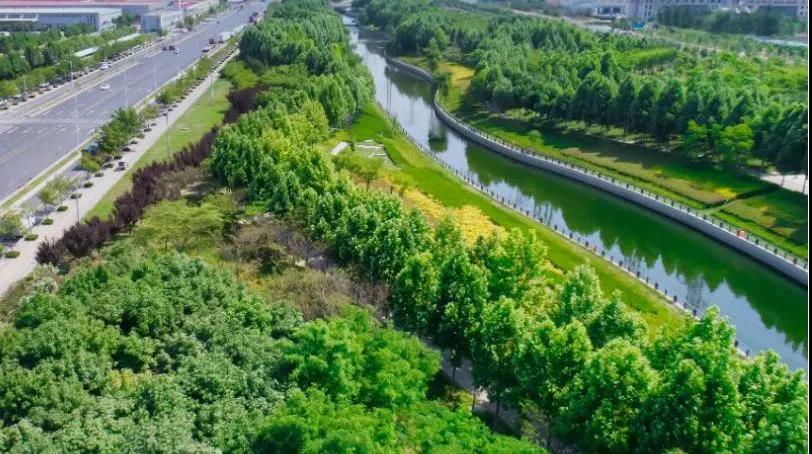 8#楼王加推在即 | 经开顶流热盘，，，，，这一次万万别错过！